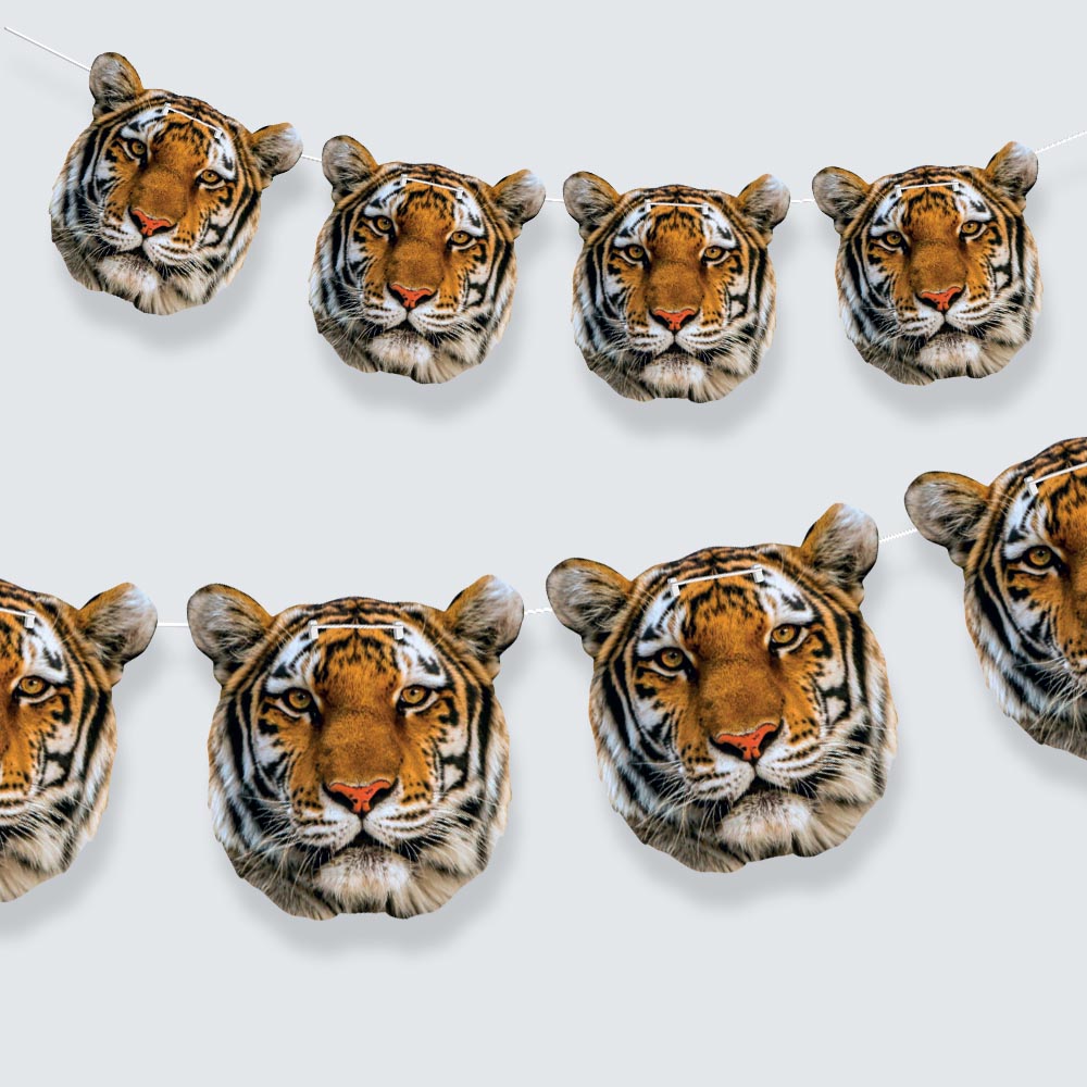 Tiger Face Bunting