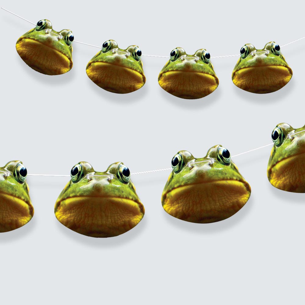 Frog Face Bunting