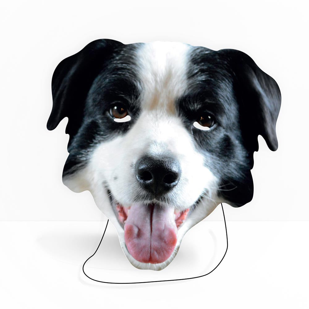 Border Collie Mask