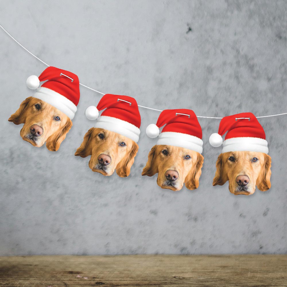 Pet Christmas Santa Hat Face Bunting