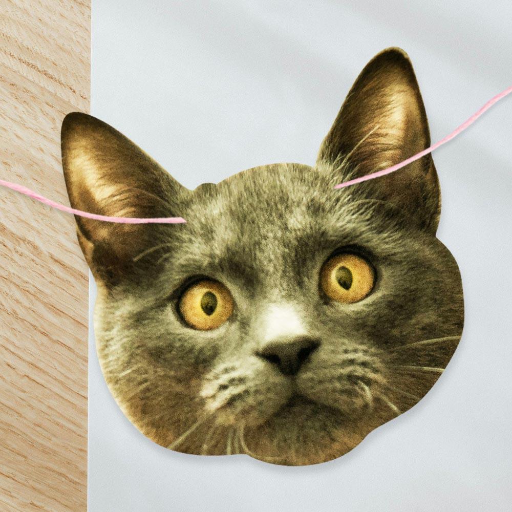 Personalised Cat Face Bunting