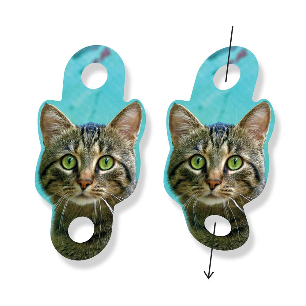 Personalised Cat Printed Photo Straw Toppers 24 pack