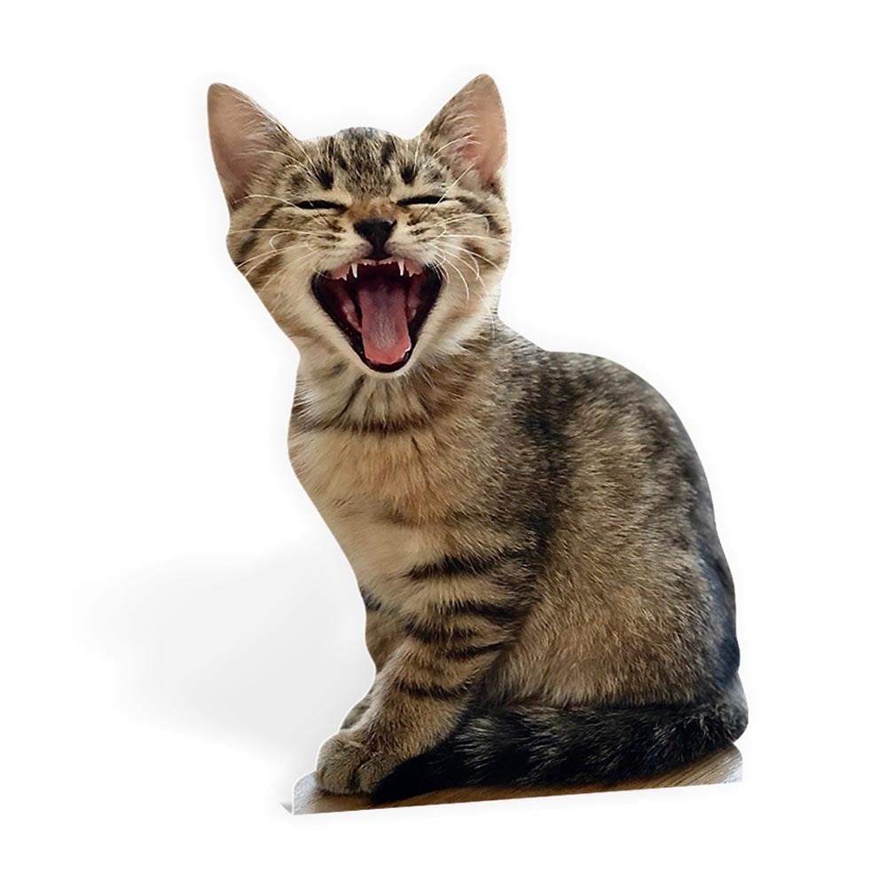 cat-mini-personalised-cut-out