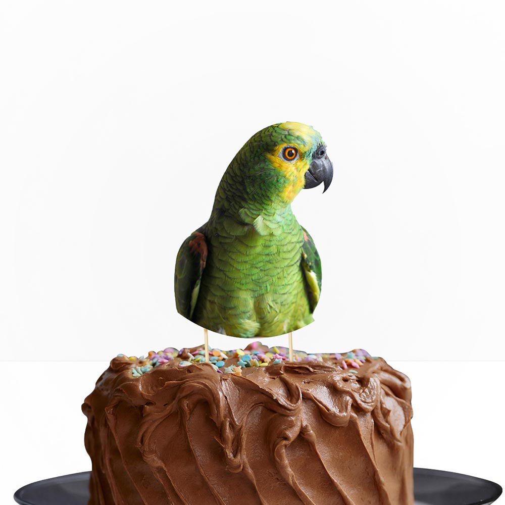 pet-photo-cake-topper