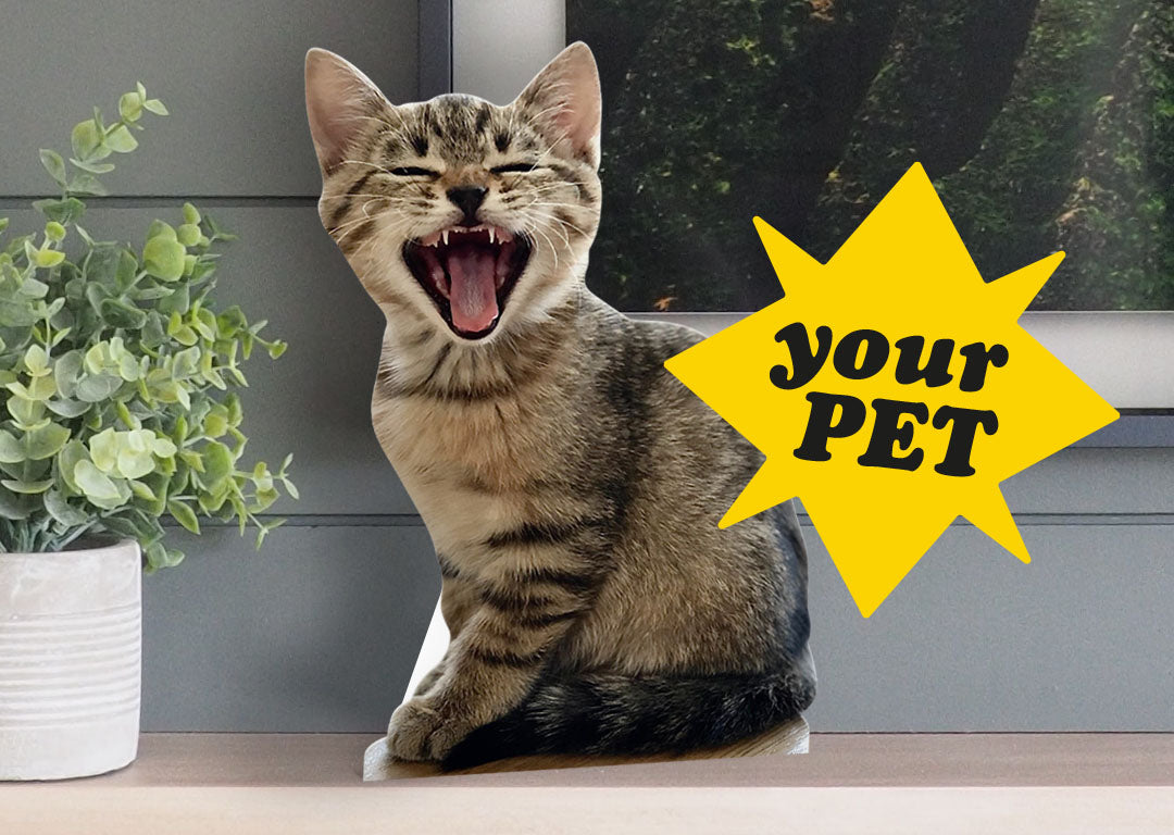 Personalised Pet Decorations
