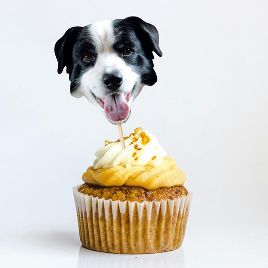 Border Collie Face Cake Toppers