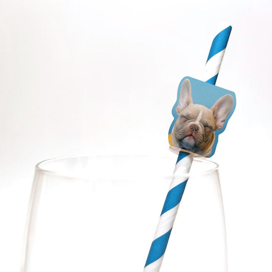 Personalised Dog Printed Photo Straw Toppers 24 pack