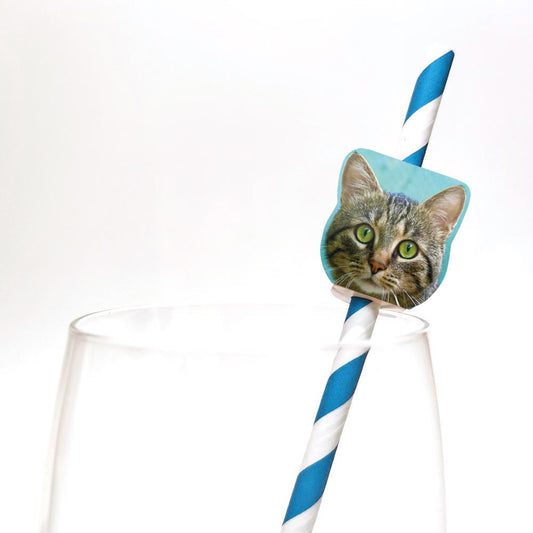 Personalised Cat Printed Photo Straw Toppers 24 pack