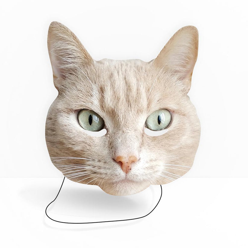 Personalised Photo Cat Face Masks Printed Little Things