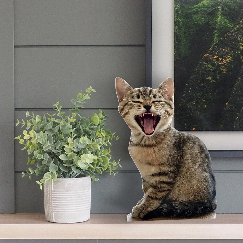 Cat Mini Personalised Cut Out Printed Little Things