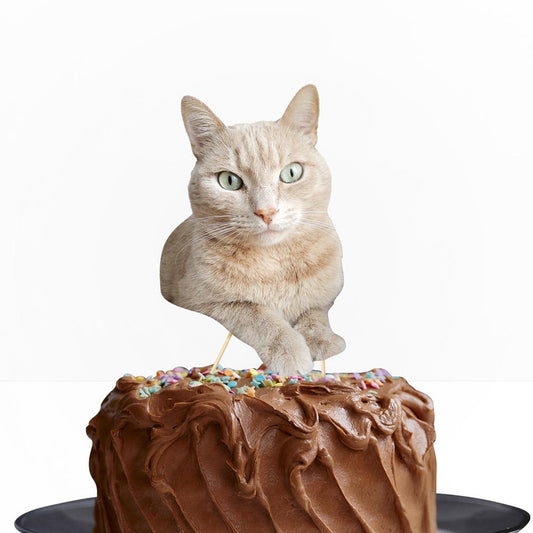 cat-photo-cake-topper-large