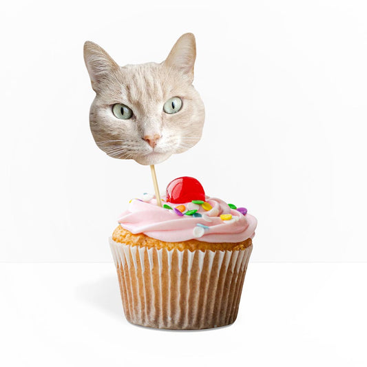 cat-cake-toppers-10-pack