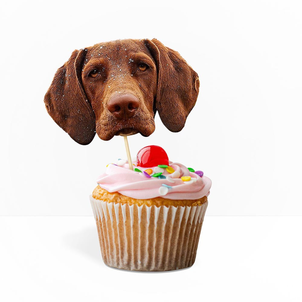 dog-cake-toppers-10-pack