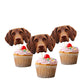 dog-cake-toppers-10-pack